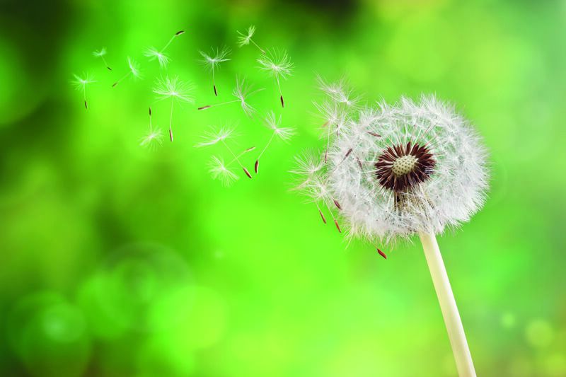 Lüftung/Klimatechnik